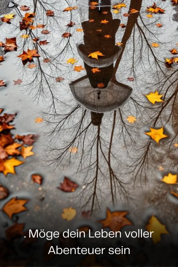 Möge dein Leben voller Abenteuer sein