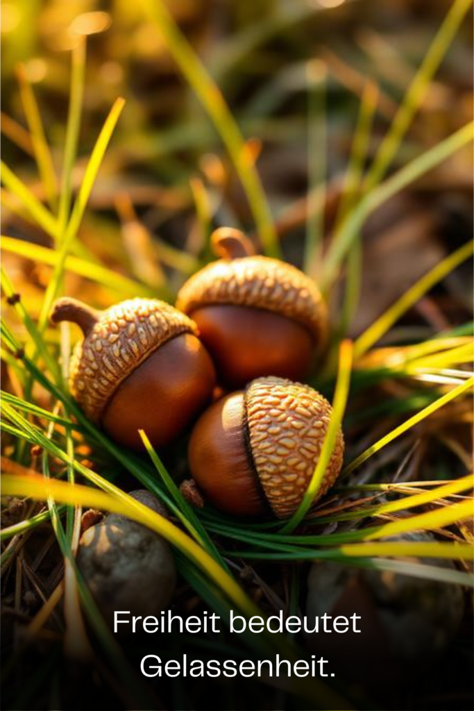 Freiheit bedeutet Gelassenheit