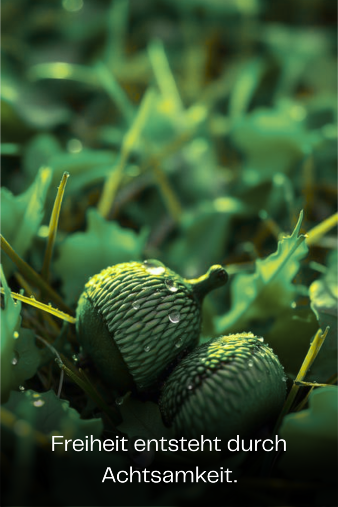 Freiheit entsteht durch Achtsamkeit