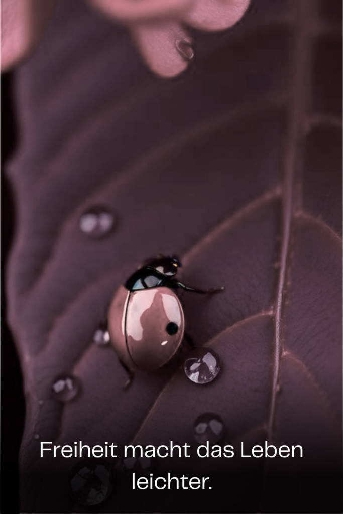 Freiheit macht das Leben leichter