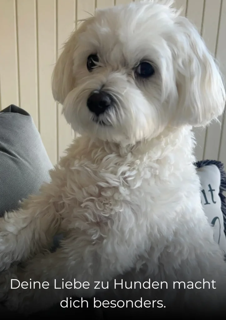 Deine Liebe zu Hunden macht dich besonders