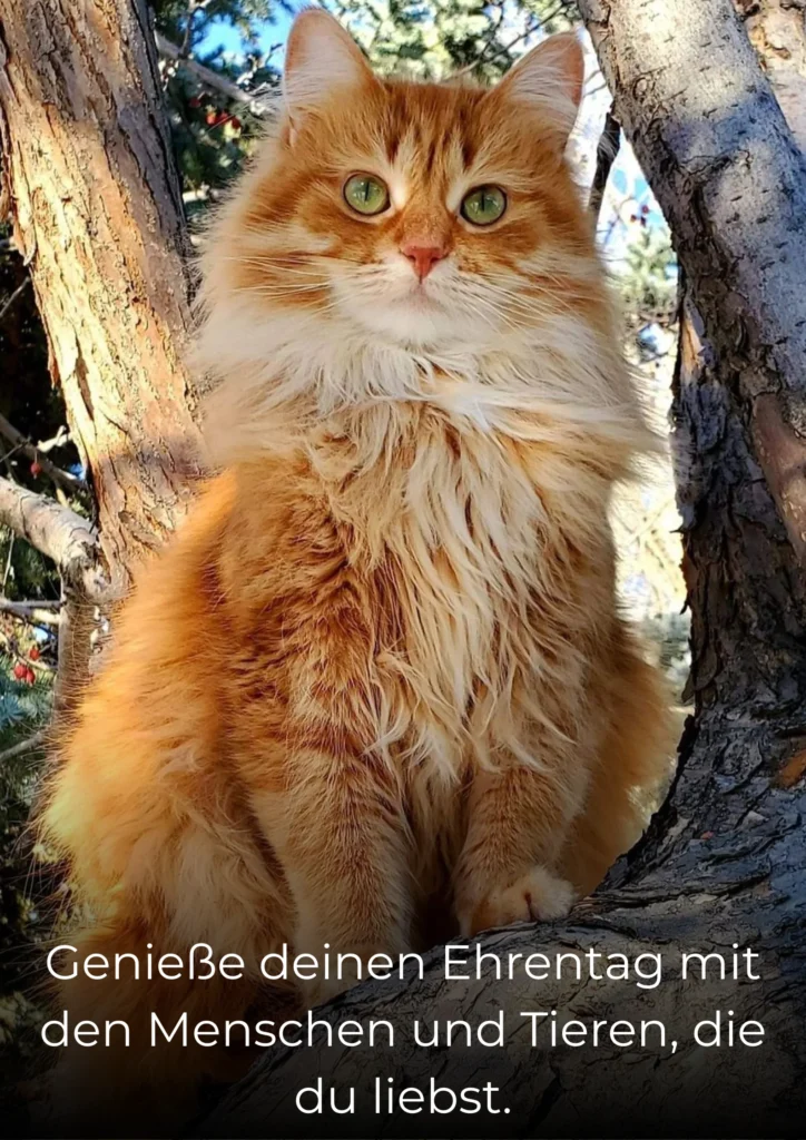 Genieße deinen Ehrentag mit den Menschen und Tieren, die du liebst