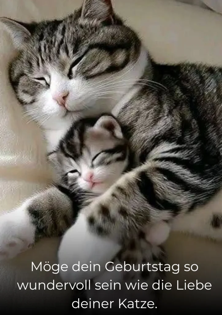 Möge dein Geburtstag so wundervoll sein wie die Liebe deiner Katze